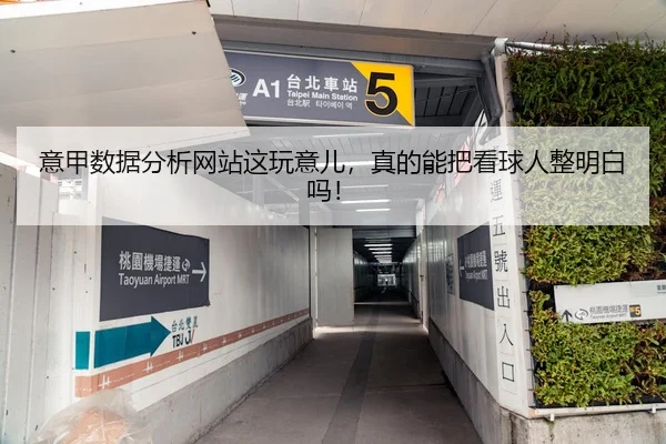 意甲数据分析网站这玩意儿，真的能把看球人整明白吗！
