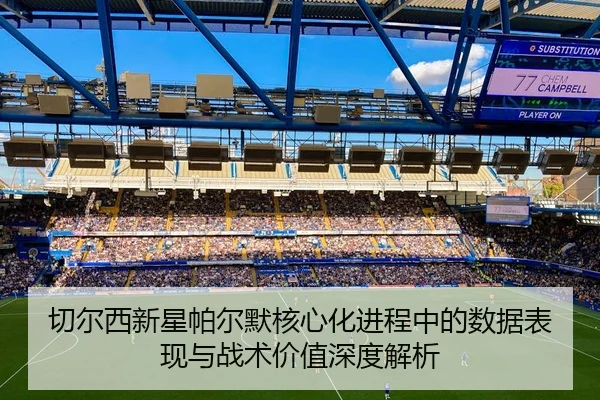 qie-er-xi-xin-xing-pa-er-mo-he-xin-hua-jin-cheng-zhong-de-shu-ju-biao-xian-yu-zhan-shu-jia-zhi-shen-du-jie-xi-2-683.jpg