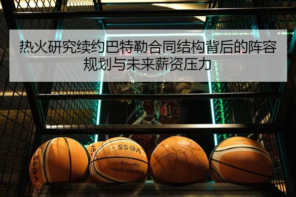 re-huo-yan-jiu-xu-yue-ba-te-lei-he-tong-jie-gou-bei-hou-de-zhen-rong-gui-hua-yu-wei-lai-xin-zi-ya-li-2-854.jpg