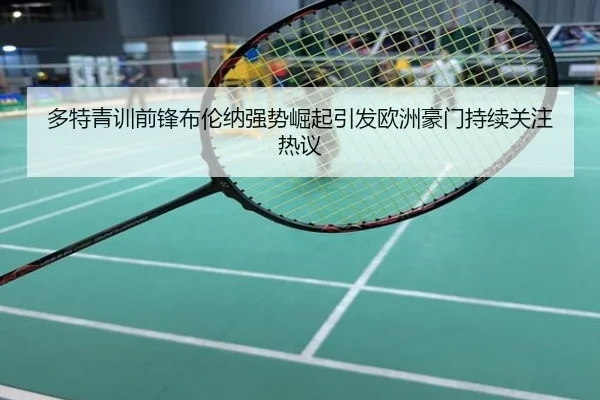 多特青训前锋布伦纳强势崛起引发欧洲豪门持续关注热议