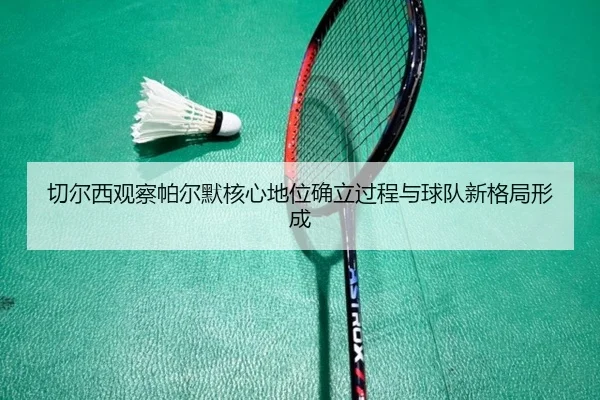 切尔西观察帕尔默核心地位确立过程与球队新格局形成
